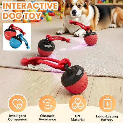Interactive Dog Toys Ball, 2026 New Smart Pet Puppy Ball with Ropes, Random Path Electric Automatic Moving and Rolling Dogs Toy, for Small Medium Large Dogs Daily Training (Red*2)