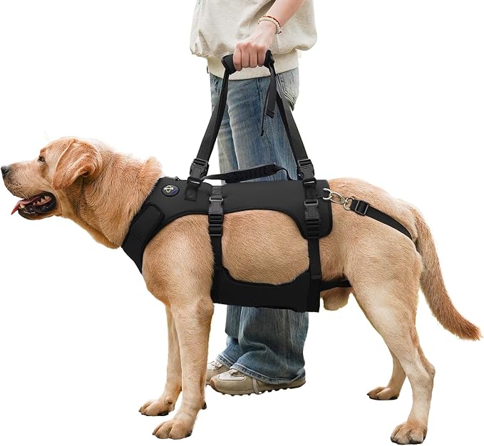COODEO Dog Lift Harness for Large Dogs, Full Body Support Mobility Aid for Senior Dogs, Adjustable Help for Weak Hind Legs, Arthritis, Stairs & Cars(Black,XL)