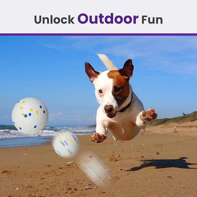2 Pack Bouncy Dog Balls, 3'' Indestructible Dog Toys for Aggressive Chewers, Outdoor Jolly Tennis Balls for Dogs, Durable Interactive Floating Dog Fetch Toy, Blue White