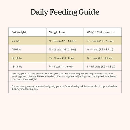 Now Fresh Grain-Free Dry Cat Food with Turkey, Salmon & Duck, Healthy Kibble for Adults Made with Real Meat & Fish, Chicken-Free, with Pumpkin & Probiotics for Sensitive Stomachs, 8 lb Bag