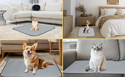 DAHAPYBOO Extra Large Washable Pee Pads for Dogs 36x72,6Pack | Reusable Puppy Pads for Dogs Non-Slip Waterproof Pet Training Pads for Crate, Playpen, Bed, Sofa,Whelping Box, Potty Training