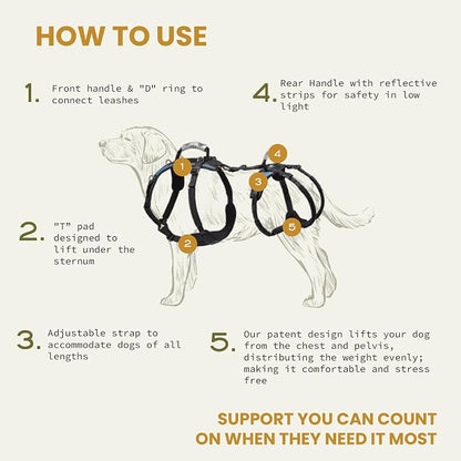 Help 'Em Up® - Dog Lift Harness│ Adjustable Lifting Harness for Dogs │ Full Body Support, Rear Leg Support (Conventional, Small, 25-45 lbs)