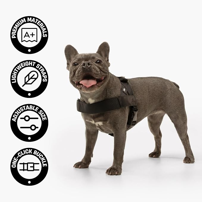 Dog Friendly Co. Dog Harness for Small Dogs (Grey Camo, Extra Small) | One Click Buckle, Chafe Resistant Webbing, Adjustable Neck & Chest, and Heavy Duty D-Ring, Sturdy Comfortable and Easy to Use