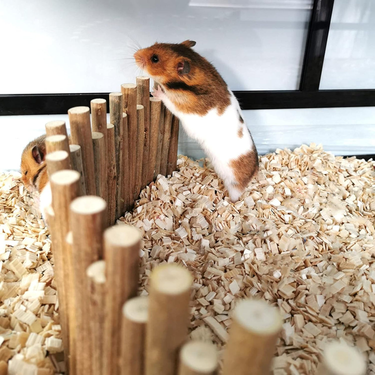 Ejoyous Hamster Wooden Bridge, Wood Ladder Hamster Fence Hideout Cage Bedding Climbing Toys for Syrian Hamsters Gerbil Small Animals (30CM Fence)