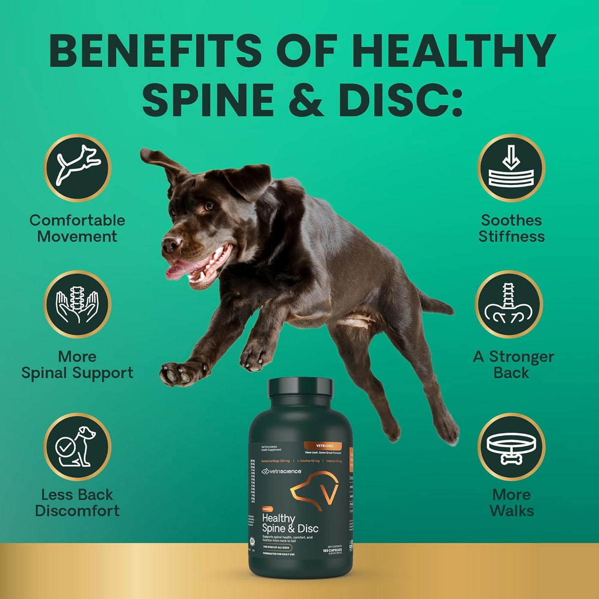 VetriScience Healthy Spine & Disc Easy-Open Capsules, Back & Spinal Support Chondroitin & Taurine Supplement for Dogs, Perfect for Dachshunds, Corgis, Frenchies & More, 180 Count