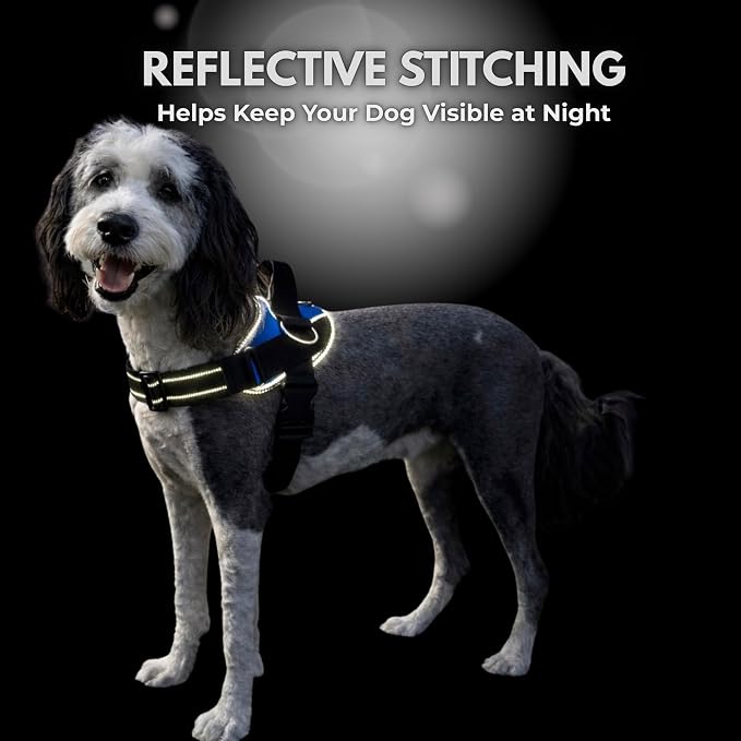 ShawnCo Essential Dog Harness, No-Pull Pet Vest (Midnight,L) | 3 Leash Clips, Easy On, No-Choke, Reflective, Adjustable Fit, Padded Comfort, Control Handle, For Small, Medium & Large Dogs
