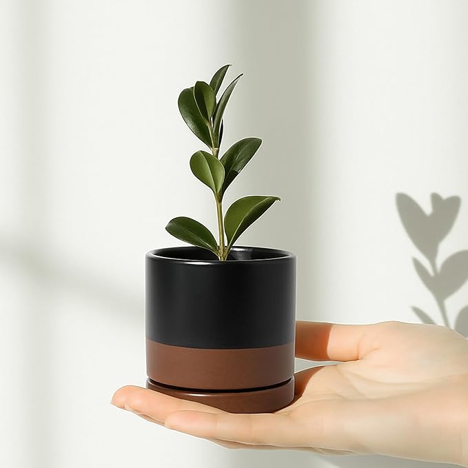 D'vine Dev 3.5 Inch Ceramic Planter Pot with Drainage Hole and Saucer, Indoor Cylinder Round Planter Pot, Black/Speckled Tan, 94-O-A-7