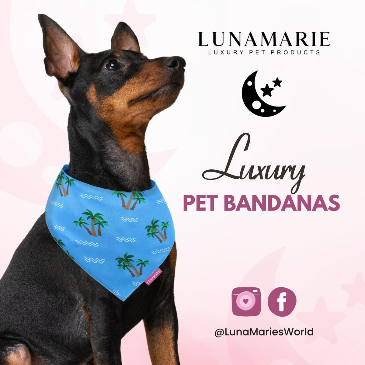 LunaMarie - Luxury Pet Birthday Bandanas -Premium & Silky Poly Fabric | 100% Handmade | Custom Shape Dual Layered (Playa Azul, Small)