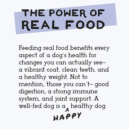 Simple Food Project - Duck Recipe - Freeze Dried Raw Food for Dogs - 24oz