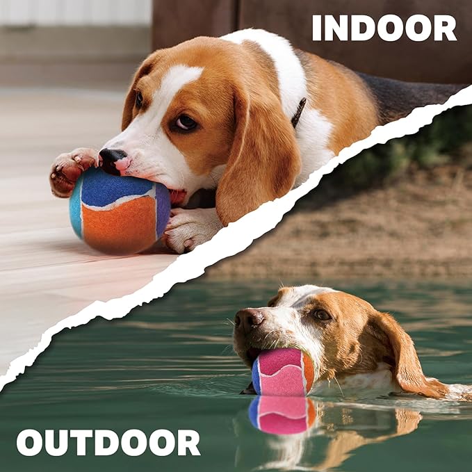 AMA SPORT Squeaky Balls for Dogs 2.5" Small Medium Dog Tennis Balls for Throwing and Fetching Dog Toys for Training, Exercise, High Bouncing 6 Pack Multicolor