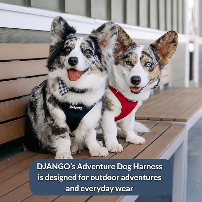 Adventure Dog Harness - Stylish and Comfortable Large Dog Harness for Outdoor Adventures and Everyday Wear - Black Neoprene Adjustable Harness for Dogs with Reflective Piping and Brass D-Ring