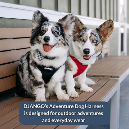 Adventure Dog Harness - Stylish and Comfortable Large Dog Harness for Outdoor Adventures and Everyday Wear - Black Neoprene Adjustable Harness for Dogs with Reflective Piping and Brass D-Ring