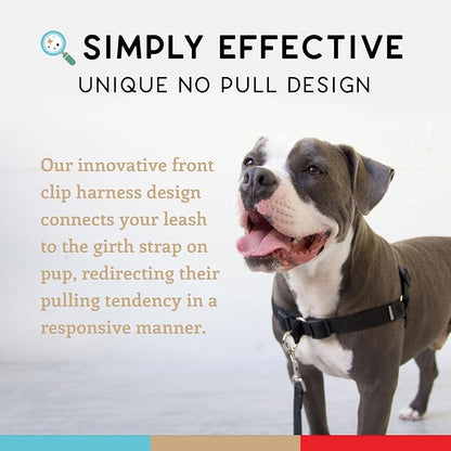 No Pull Dog Harness | Comfortable Training Harnesses | Effective No Pull Harness Design | Ideal for Large Sized Dog | 4-Point Adjustable(L - 26~32 inch Girth, Black)