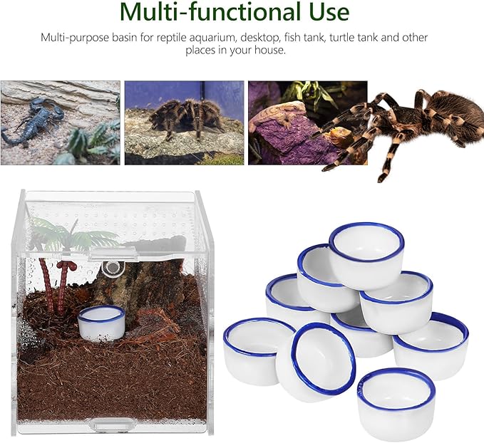 SUPVOX 12pcs Small Ceramic Water Basins and Spiders, Reptile Feeding Bowls for Terrarium, Sturdy Ceramic Food and Drinking Containers for Crawling Pets