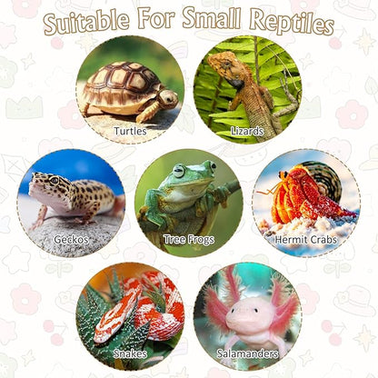 Reptile Bathing Pool 2-in-1 Tortoise Water Dish with Ramp Turtle Feeding Bowl with Steps Plastic Reptile Food & Water Dishes 7 Pcs Gecko Habitat Decoration Accessories Lizard Bath Tub