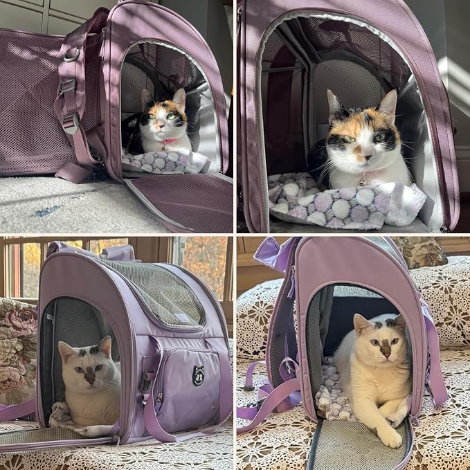Expandable Cat Carrier Backpack for Large Cats - Airline Approved Pet Carrier Backpack for Small Dogs, Hiking & Travel, Waterproof with Breathable Mesh, 22lbs Capacity (Plum, Large)