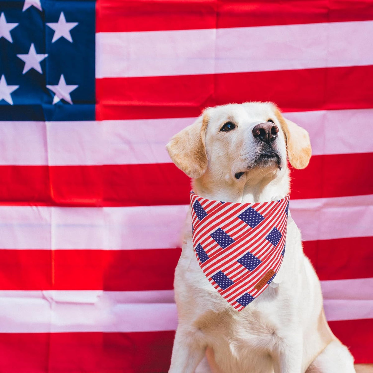 ADOGGYGO American Flag Dog Bandanas, Red Blue Patriotic Eagles USA Flag Scarf, Multi Size, 4th of July Bandana for Small Dogs Pets (Small)