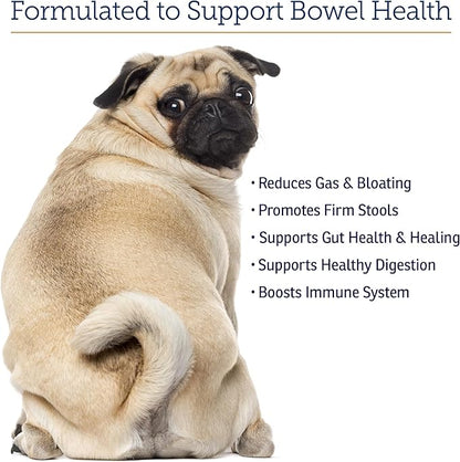 Rx Vitamins NutriGest Capsules for Cats & Dogs - Probiotics for Digestive Health Enhanced with Glucosamine for Gut Health Support - Helps with Constipation Relief and Anti Diarrhea - 90 Capsules