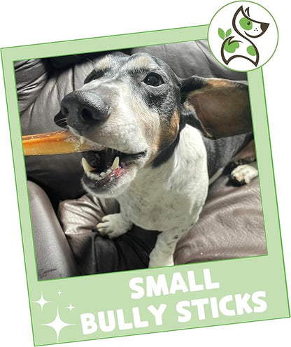 Nature Gnaws Small Bully Sticks for Dogs 5-6" (15 Count) - Long Lasting for Light Chewers and Puppies - Natural Thin Beef Dog Chew Bones - Rawhide Free
