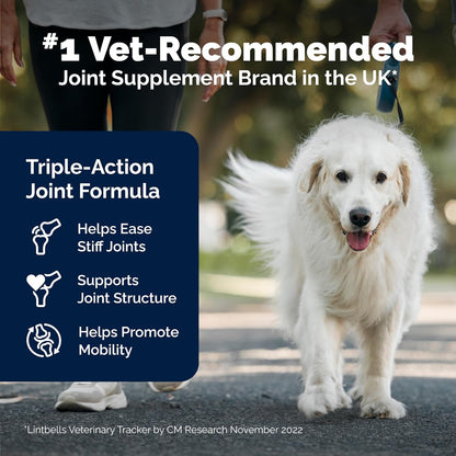 Yumove Hip & Joint Supplement for Dogs. Everyday comfort that fits naturally into your space.