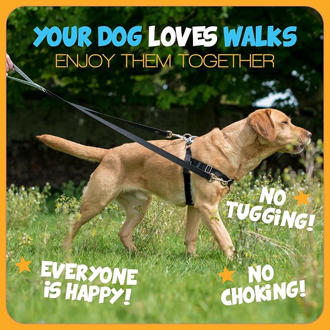 2 Hounds Design - Freedom No-Pull Harness & Training Leash in Green Aloha | Dual Leash Loops, No Pulling on Walks | Lined to Prevent Chaffing | for Large Sized Dogs (Size M, Chest 24”- 28”)