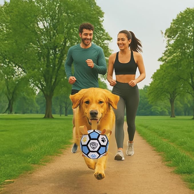 ProBall Pets Interactive Dog Soccer Ball with Grab Tabs - Floats on Water, Fetch & Training Toy for Small Medium Dogs, Herding Breeds - Waterproof Non-Toxic - 6" Blue Yellow