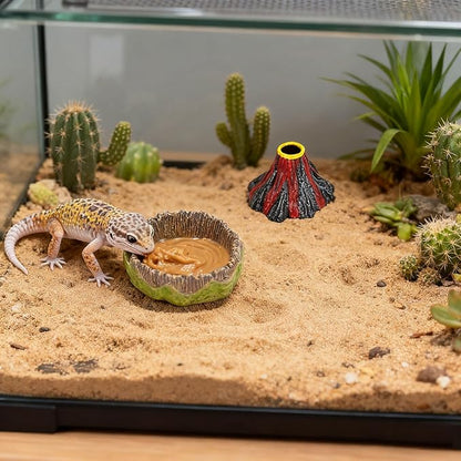Small Reptile Feeding Dish 2Pack Gecko Food Water Dispenser Worm Bowl with Resin Volcano Decor for Terrarium Leopard Crested Gecko Juvenile Bearded Dragon Lizards Cricket Dubia Feeder