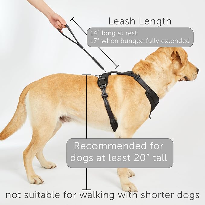 TUG Grab Dog Harness with Built-in Magnetic Traffic Leash (Medium/Green) | Padded Magnetic Traffic Handle | Dual Leash Clips | 4-Point Adjustable Fit | Durable Nylon