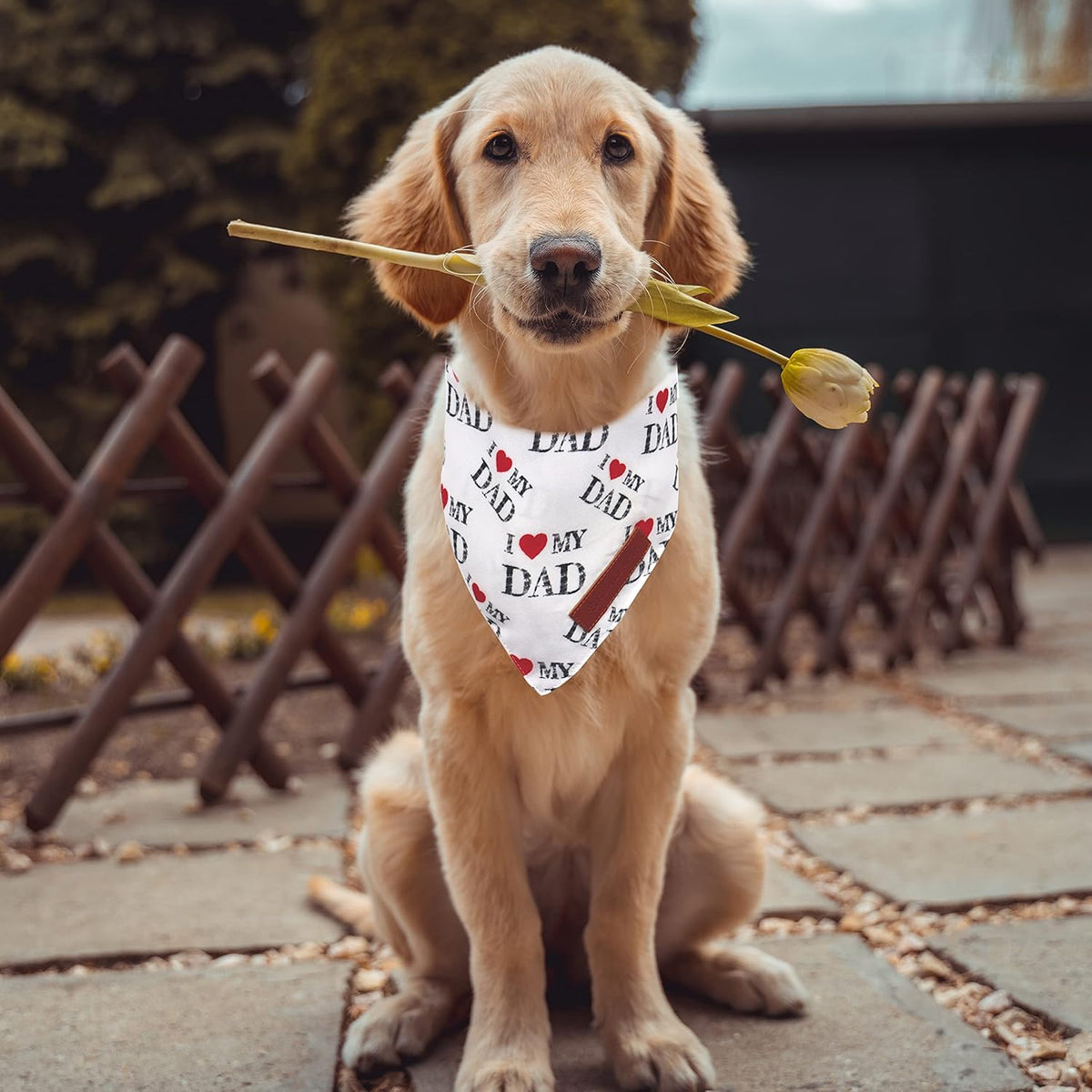 Realeaf Fathers Day Dog Bandanas 2 Pack, Reversible I Love My Dad Pet Scarf for Boy and Girl, Premium Durable Fabric, Bandana for Small Medium Large and Extra Large Dogs (Small)