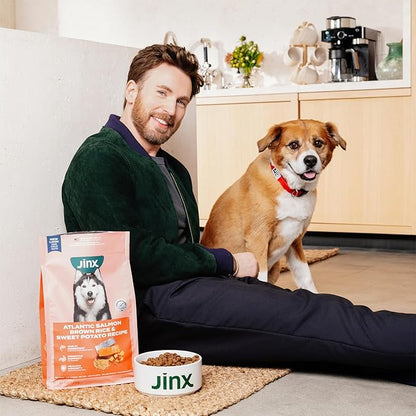 Jinx Kibble Sauce for Dogs - Premium Dog Food Kibble Topper Sauce & Flavor Booster Made with Chicken Bone Broth - All-Natural Ingredients, No Additives or Fillers - 12 Oz