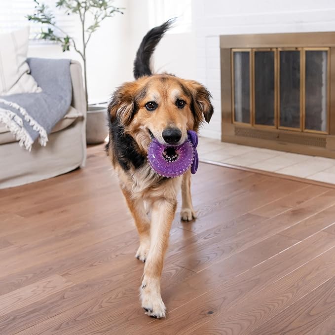 Outward Hound 2-in-1 Dental Dog Chew Wheel Ring & Rope Tug Toy for Teething Puppies & Dogs, Mint-Scented & Teeth-Cleaning, 9-Inch, Purple