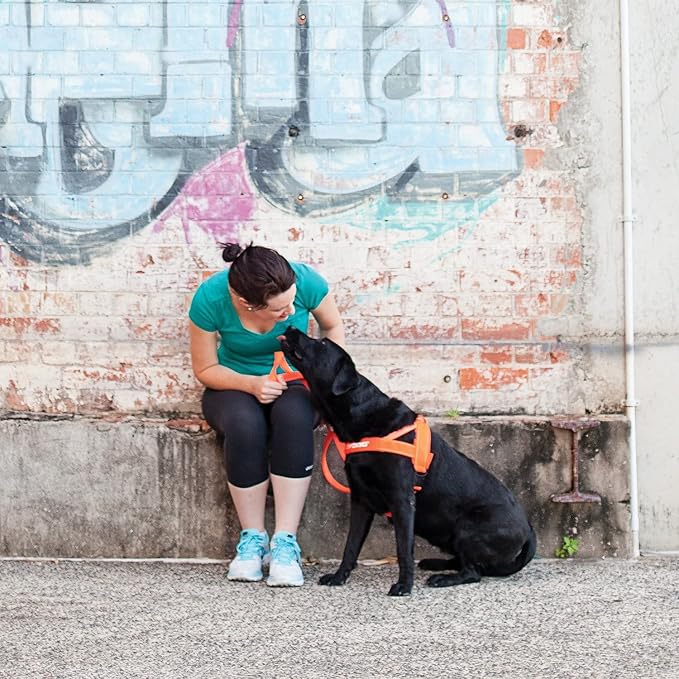 EzyDog Quick Fit Dog Harness, Soft Neoprene Padding - Small, Red | Fast One-Click Buckle, Adjustable Fit, Strong Reinforced Materials, Reflective Stitching, No Pull Dog Harness, Easy Walking
