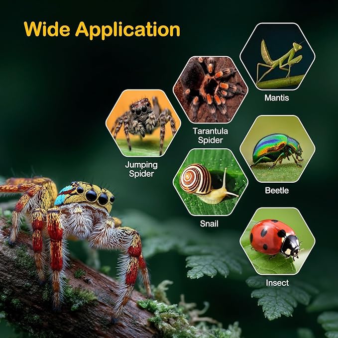 Large Jumping Spider Enclosure Kit,Escape Proof Reptile Tank,Praying Mantis Terrariums,Transparent Acrylic Bug Habitat,Arboreal Tarantula Cribs Cage,Insect Starter Container,Critter Keeper Sea