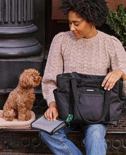 Transit Tote Dog Carrier for Small Dogs Under 8 lbs, 16x11x8 Soft-Sided 4-Pc Set with Waterproof Base, Plush Insert, Food Pouch, Mesh Head Opening - Small Graphite