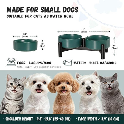 Raised Ceramic Dog Bowl Set with Stand, 1.6 Cups Elevated Dog Food Stand | 5.1'' Double Dog Food and Water Bowl Set, Non-Slip Dog Feeding Dishes for Small Breeds and Cats, 10.8 OZ, Green