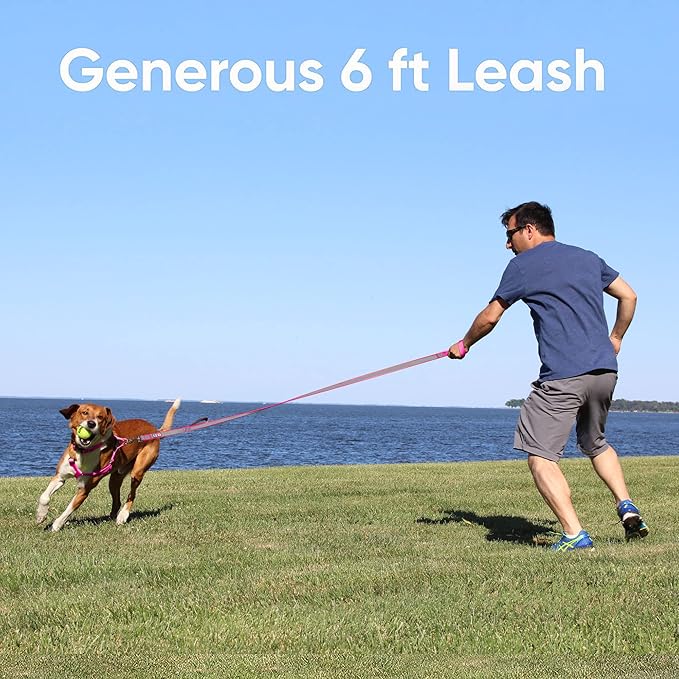 Pawtitas 6 FT Padded Dog Leash with Comfortable Neoprene Padding Handle - Camo Green Lead | Medium Reflective Dog Leash with Highly Reflective Band Perfect for Medium and Large Dogs and Puppies.