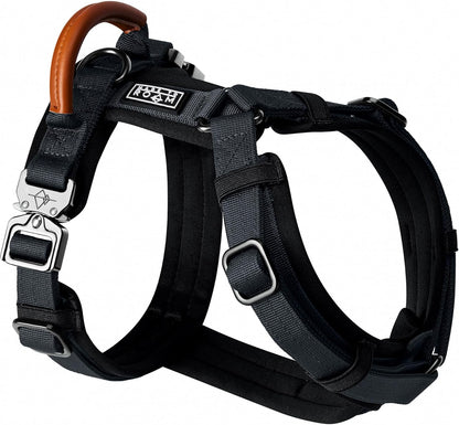 MADE TO ROAM Premium Explorer Harness - Y-Shaped Dog Harness with Adjustable Durable Nylon, Soft Padding, Metal Buckles and Leather Handle for Small, Medium, Large Dogs (New York Afterlight, Size 2)