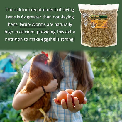 EZ-Worms (10 lb) - Blend of Dried Mealworms & Black Soldier Fly Larvae (BSFL) - Healthy Insect Treat - Chickens, Bluebirds, Sugar Gliders, Hedgehogs, Squirrels, Skunks, Reptiles, Turtles, Fish