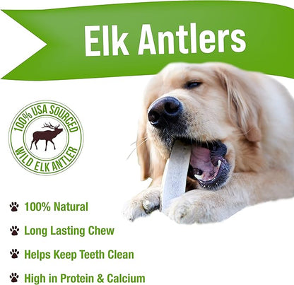 Buck Bone Organics Dog Chews, Elk Antlers for Dogs, Long Lasting Dog Bones for Aggressive Chewers, All Natural, No Preservatives, Wild Shed in The USA (1 Pound Bag)