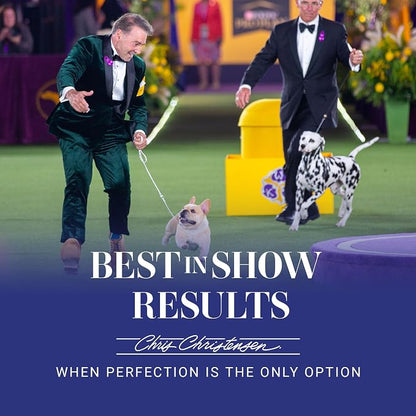 Chris Christensen 27 mm Oblong Pin Dog Brush, Original Series, Groom Like a Professional, Stainless Steel Pins, Lightweight Beech Wood Body, Ground and Polished Tips