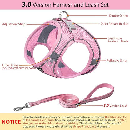 AIITLE Small Harness for Puppy with A Leash - Summer Dog Vest Harness with Super Breathable Mesh, Reflective No-Pull Pet Harness for Outdoor Walking, Camping for Small Dogs, Cats Pure Pink XXS