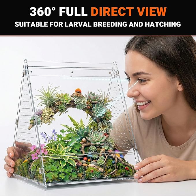 Triangular Jumping Spider Enclosure, Acrylic Terrarium with Magnetic Doors, 0.8mm Micro-Ventilation& Escape-Proof Design for Tarantulas, Lizards, Small Pets, 9.4"x10.9"x10.6"