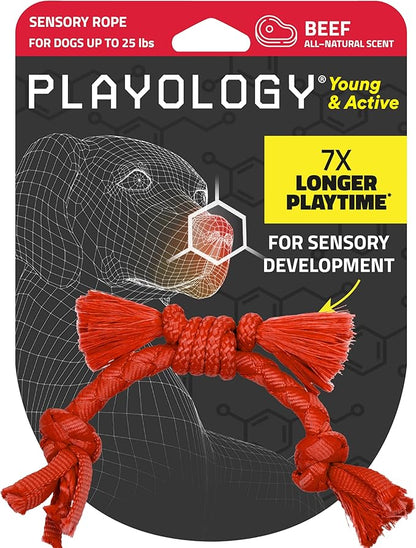 Playology Dog Toys | Puppy Toy Sensory Rope Tug of War Rope for Dogs and Puppies | Small Beef Scented Toy - Easy to Clean and Made from Non Toxic Materials