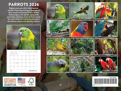 Parrot Calendar 2026 Wall Monthly Parrots Gifts For Parrot Lovers Women Men | American Made In The USA