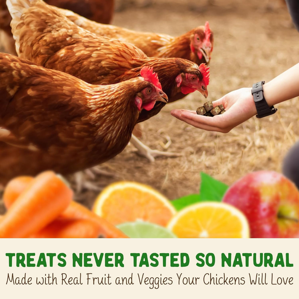 Doc Eddie’s Backyard Chicken Supplement - Plant-Based Treats for Egg Laying Hens - Poultry Feed Enrichment Made with Omega 3 Rich Algae - Essential for Immune Health, Feather Regrowth, Egg Production