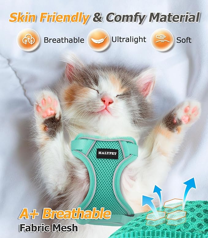 Halypet Cat Harness and Leash Set [MAX Safety 4th-Gen Upgrade] Escape Proof Adjustable Cat Leash Comfortable Soft Vest Easy to Wear Kitten Harness with Reflective Strip for Cats Walking, S Green