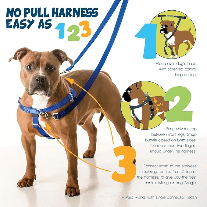 2 Hounds Design Freedom No Pull Dog Harness, Adjustable Harness and Leash Set, Easy Walking & Comfortable Control, Fits Small, Medium & Large Dogs, Solid Colors, Made in USA, 1" XXL, Silver
