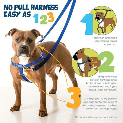 2 Hounds Design Freedom No Pull Dog Harness, Adjustable Harness and Leash Set, Easy Walking & Comfortable Control, Fits Small, Medium & Large Dogs, Solid Colors, Made in USA, 5/8" SM, Neon Orange