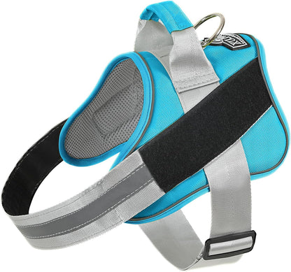 Bolux Dog Harness, No-Pull Reflective Dog Vest, Breathable Adjustable Pet Harness with Handle for Outdoor Walking - No More Pulling, Tugging or Choking (OceanicBlue, Large (Pack of 1))