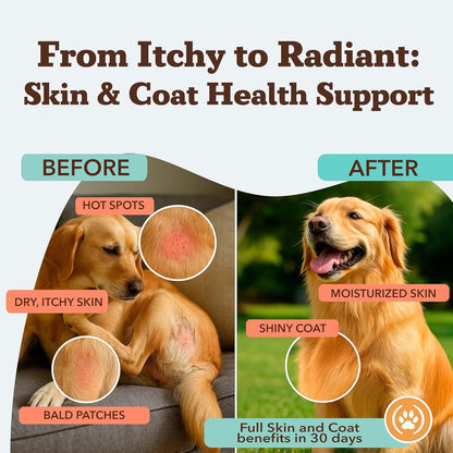 Natural Dog Company Skin & Coat Supplement for Dogs Omega-3 Rich Salmon Oil Chews for Itchy Skin Relief, Shedding & Allergy Support, Shiny Coat Health, with Biotin, Vitamin E, Grain-Free (180 Count)